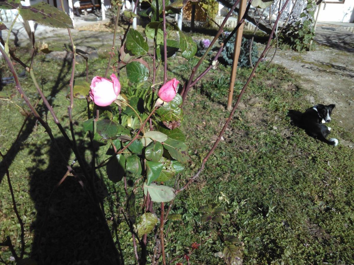9 Plus - Orbeli Eksteriør bilde